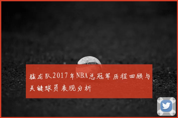 猛龙队2017年NBA总冠军历程回顾与关键球员表现分析