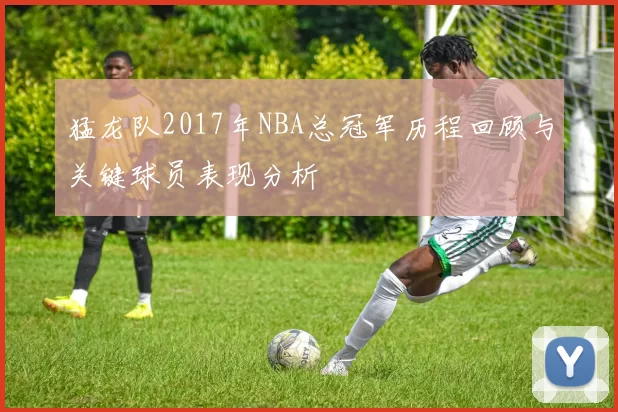 猛龙队2017年NBA总冠军历程回顾与关键球员表现分析
