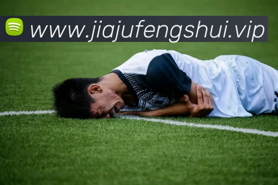 App Interface Preview